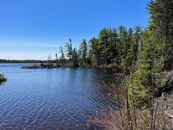 0 County Road 414, Newberry, MI 49868