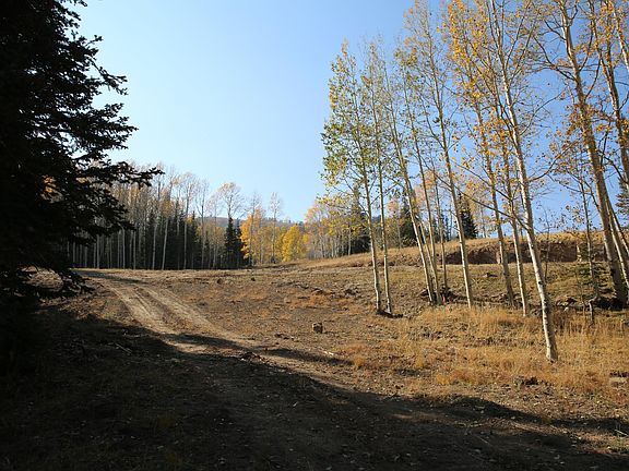 2nd image of 326 White Pine Canyon Rd Lot 326