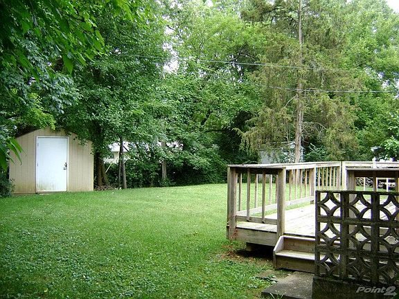 Back yard