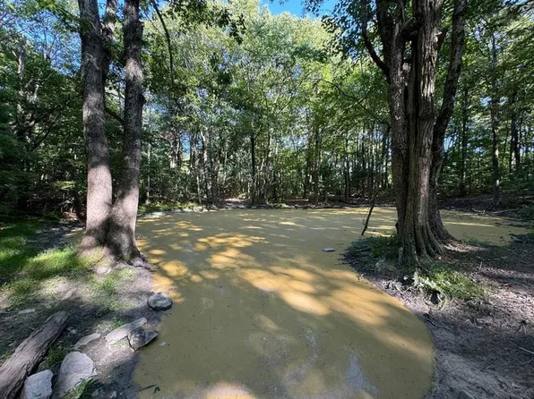 Pulaski Rd NW, Indian Valley, VA 24105