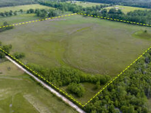 Neale Oilfield Rd, Deridder, LA 70634