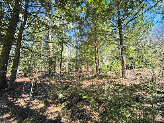 5th image of 0 Littlefield Road