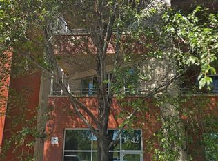 1642 N Bosworth Ave APT 3S, Chicago, IL 60642