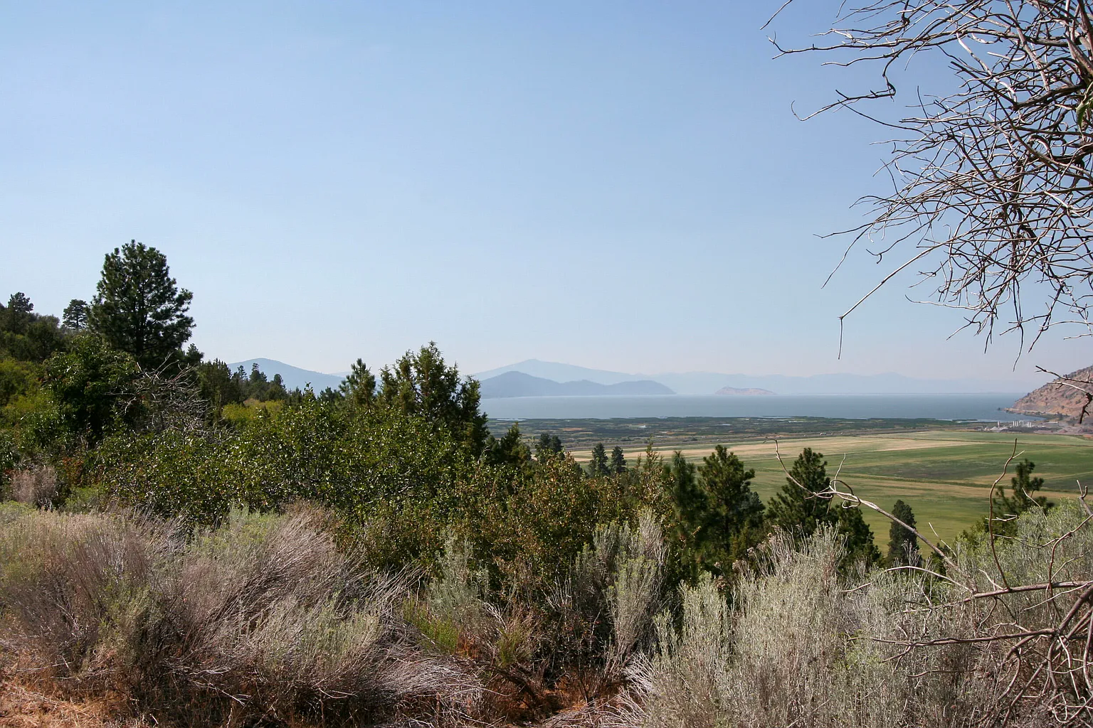 Troubadour Trl #1360 photo 1