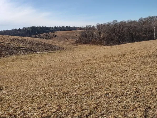 W12 E Moore Rd, Humbird, WI 54746