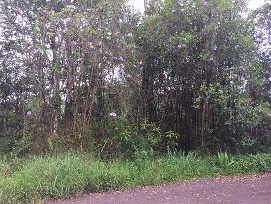 1st image of Silversword Ct Lot 30