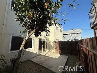 249 E Jackson St #B — Photo 11