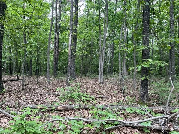 TRACT W Off Of Meadow Creek Dr, Harrison, AR 72601