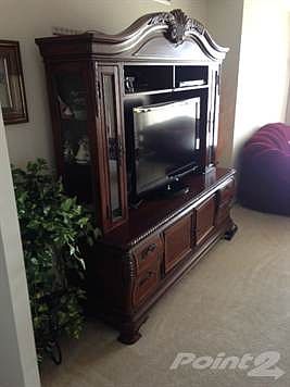 TV chest