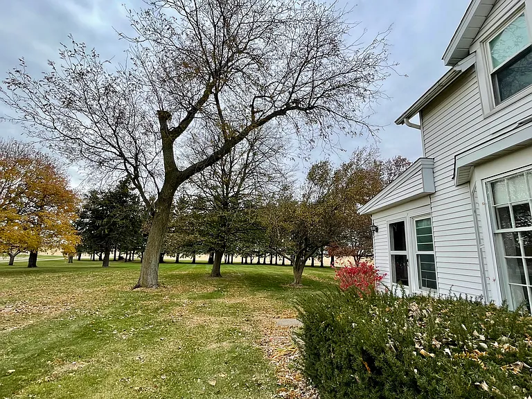 Side looking toward front yard