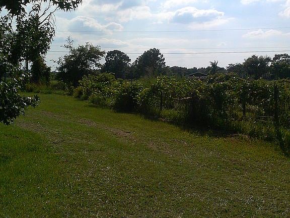 5th image of 5620 Cyrils Dr