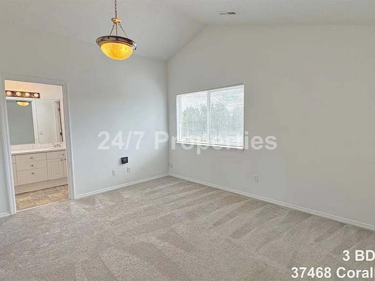 37468 Coralburst St — Photo 15
