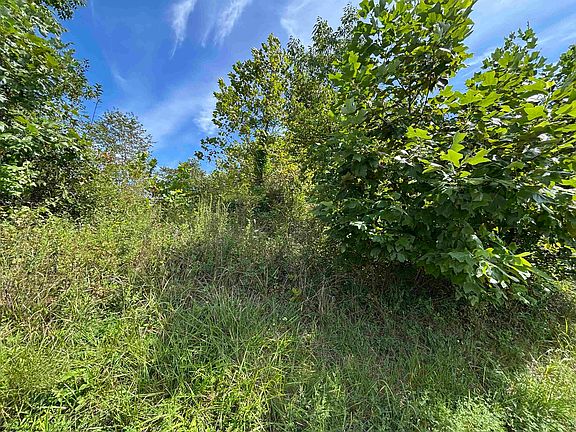 3rd image of 165 Merdian Rd