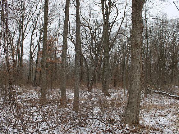 5th image of 7998 Four Mile Rd NE