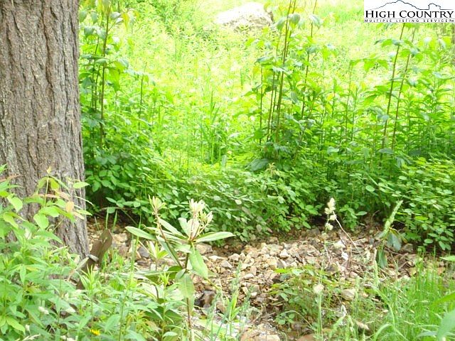 2nd image of Tbd Far View Lane