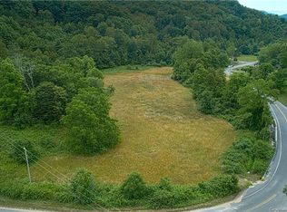 99999 Black Oak Cove Rd, Candler, NC 28715