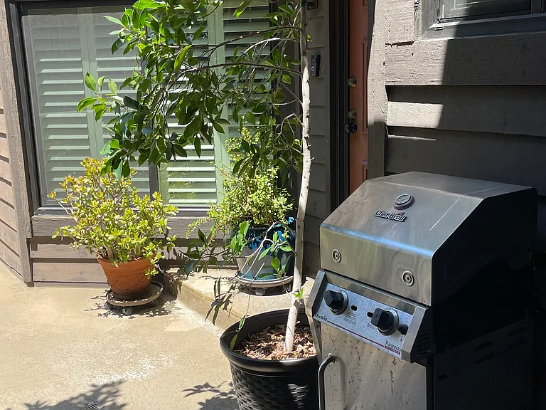 Shaded barbeque area