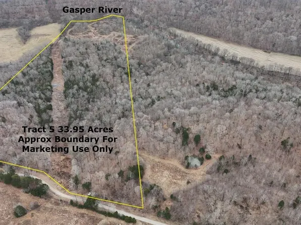 TRACT 5 Wand Cemetery Rd, Bowling Green, KY 42101