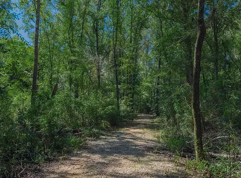 Stone Creek — Photo 11