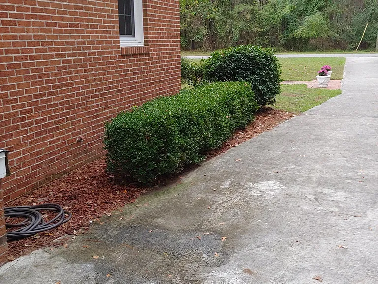 105 Jenny Lisa Ln — Photo 31