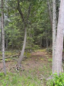 Bues Point Rd, Baileys Harbor, WI, 54202