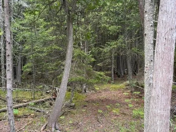 Bues Point Rd, Baileys Harbor, WI 54202