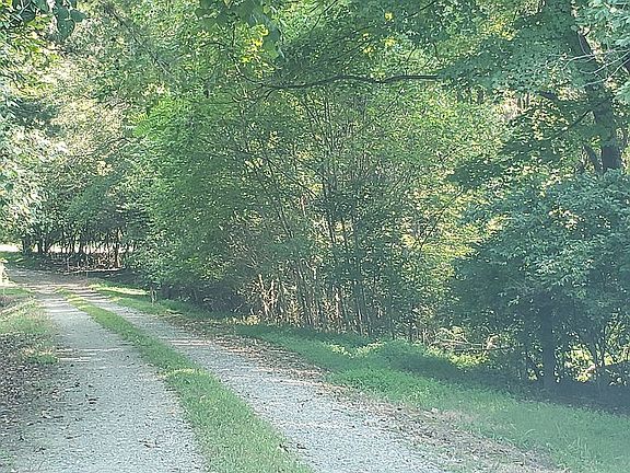 driveway leading to house