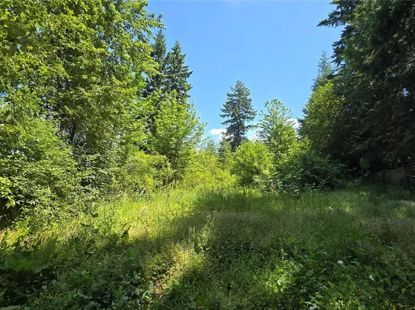 32919 82nd Avenue S, Roy, WA 98580