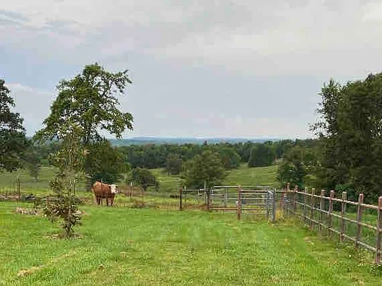 Window View