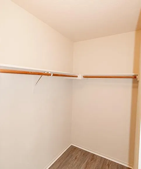 2406 Magin Meadow Dr — Photo 11