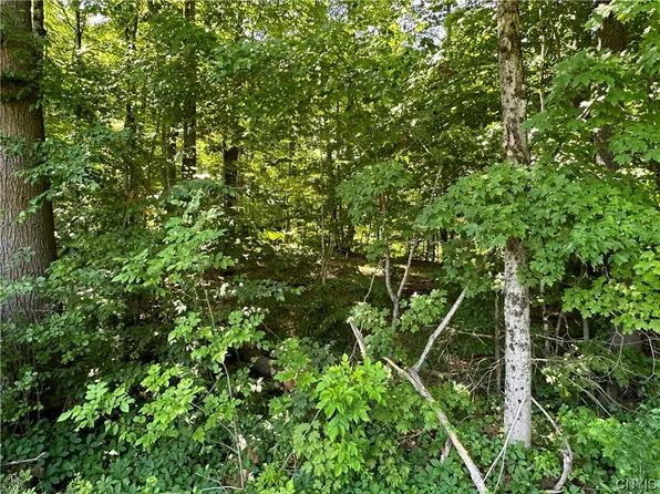 0 Base Bridge Rd #10, Williamstown, NY 13493