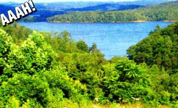 1st image of 406 Flint Ridge Rd Lot 406