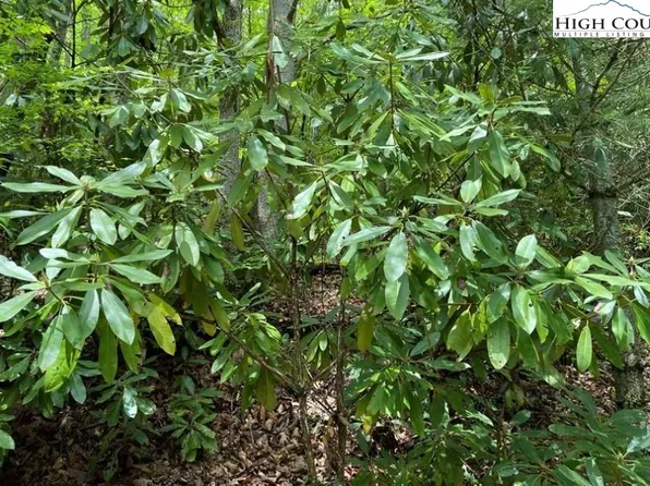 Lots 56 and 57 Rhoneys View, Newland, NC 28657