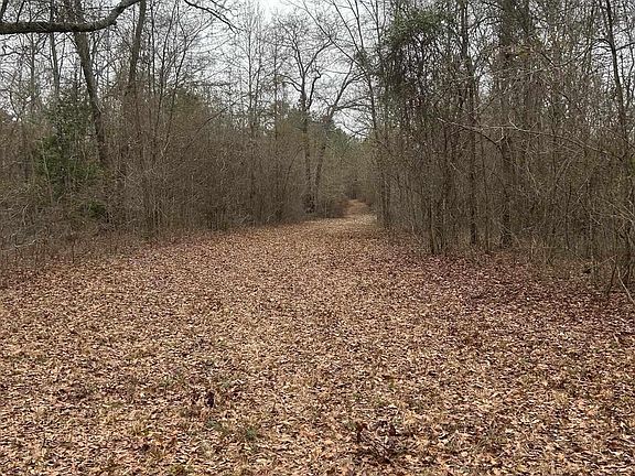 3rd image of 1163 Old Ideal Rd