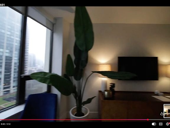 3rd image of 1009 N Rush St