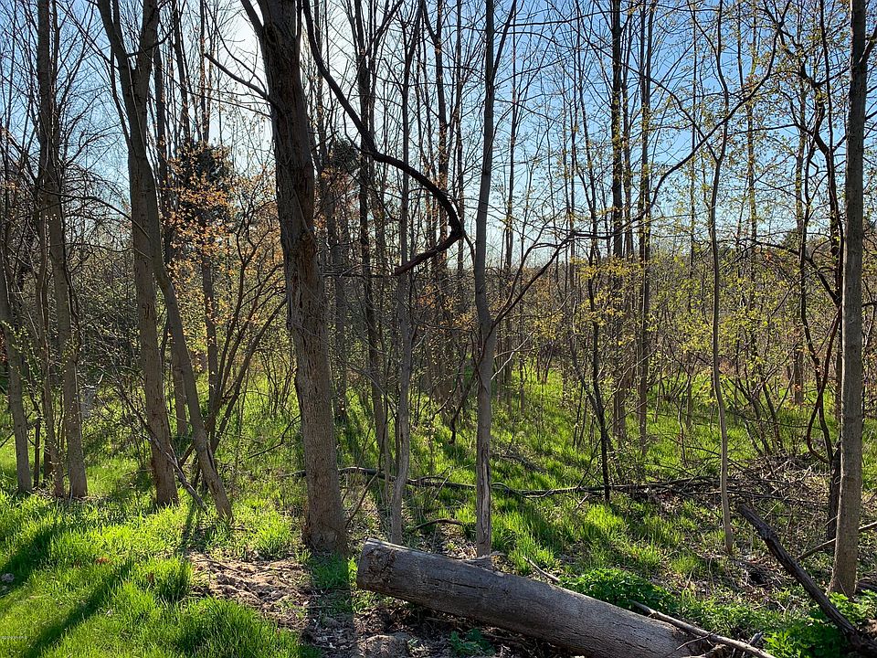 2nd image of W River View Dr