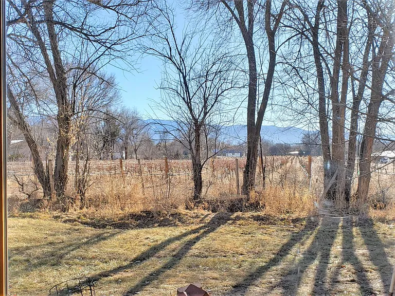 Vineyard view from Living Rm window