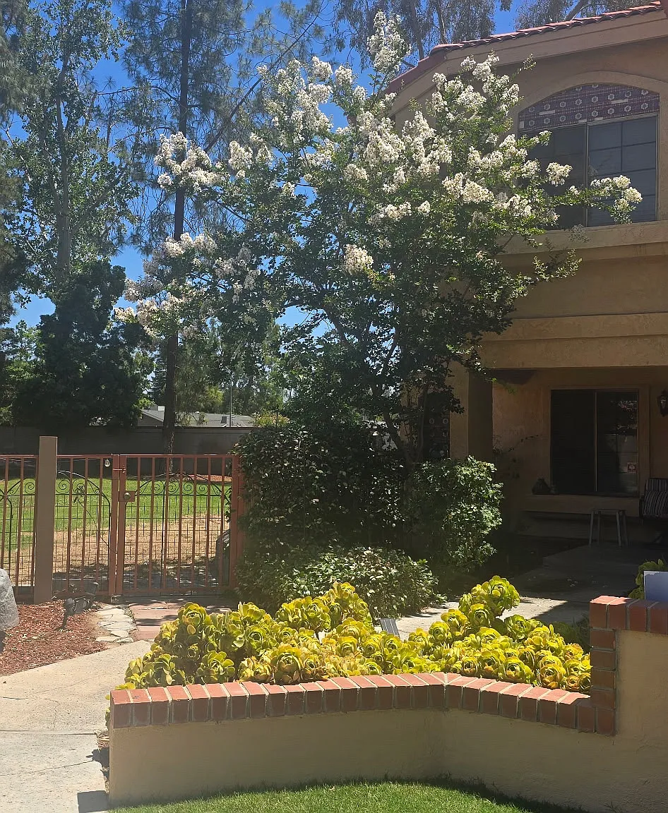 3 bed, 2.5 bath, 2113 sqft, $2,900 — Photo 2