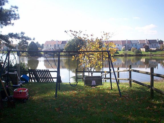 Back yard views