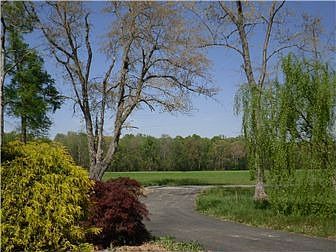 Beautiful Park-Like Setting