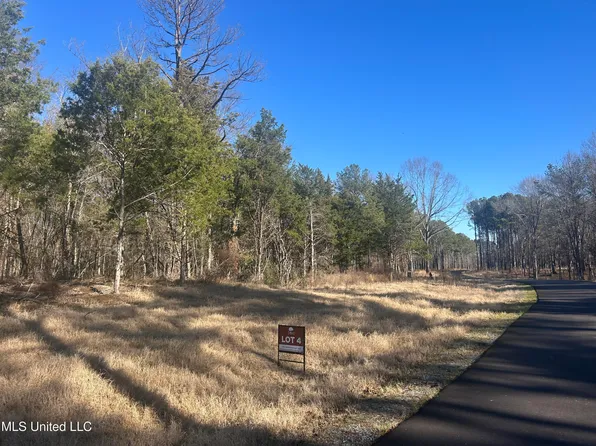 Spirngwood Trl Lot 4, Flora, MS 39071