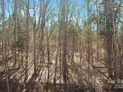 710 Breezewood Dr, Charlotte, NC, 28262