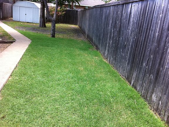 Back yard