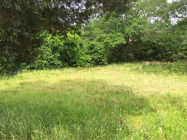 2nd image of 4429 Saint Marys Rd