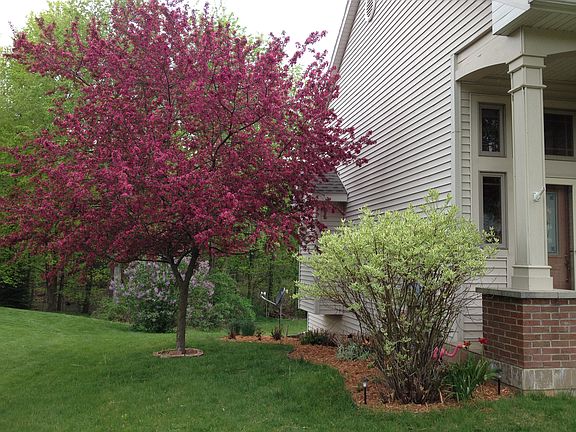 2nd image of 4528 Forest Creek Dr