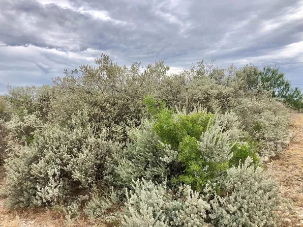 112 Briar Crown, Uvalde, TX 78801