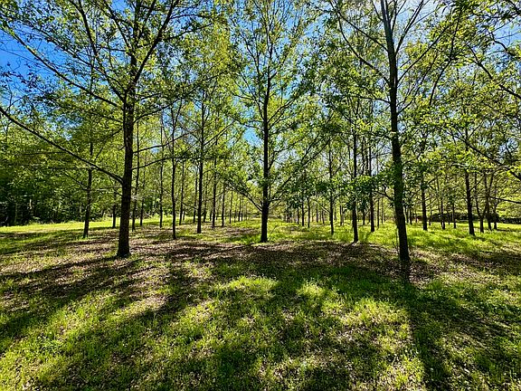 5th image of 0 Pace Landing Rd