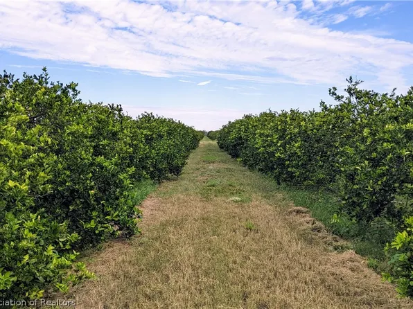 Scarorough Rd, Zolfo Springs, FL 33890