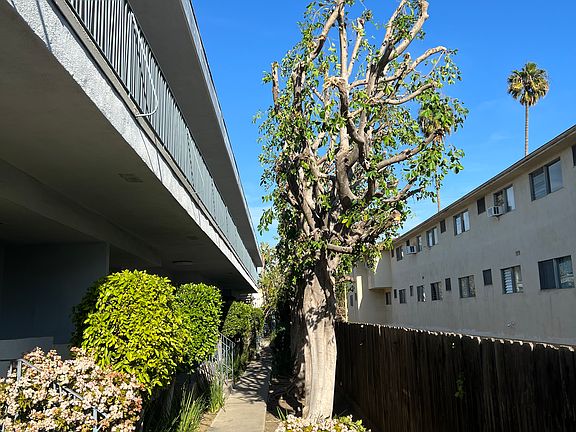 3rd image of 3719 Clarington Ave APT 6