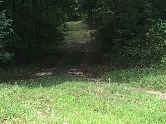 Long driveway = privacy!